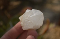 Natural Pineapple Quartz Crystals  x 35 From Madagascar - Toprock Gemstones and Minerals 