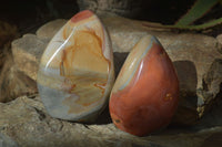 Polished Polychrome / Picasso Jasper Standing Free Forms  x 3 From Madagascar - Toprock Gemstones and Minerals 