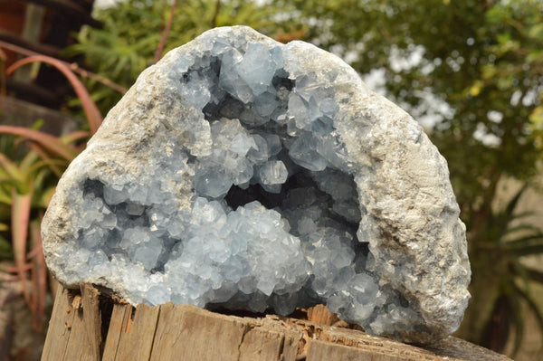 Natural Extra Large Blue Celestite Geode With Cubic Crystals  x 1 From Sakoany, Madagascar - TopRock