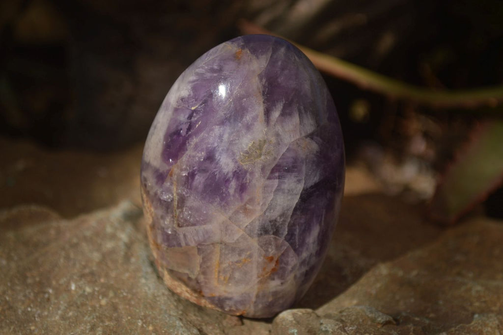 Polished  Dream Amethyst Standing Free Forms x 6 From Madagascar - Toprock Gemstones and Minerals 