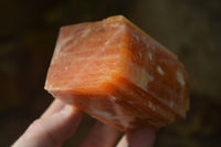 Natural New Sunset Orange Calcite Specimens  x 6 From Spitzkop, Namibia - Toprock Gemstones and Minerals 