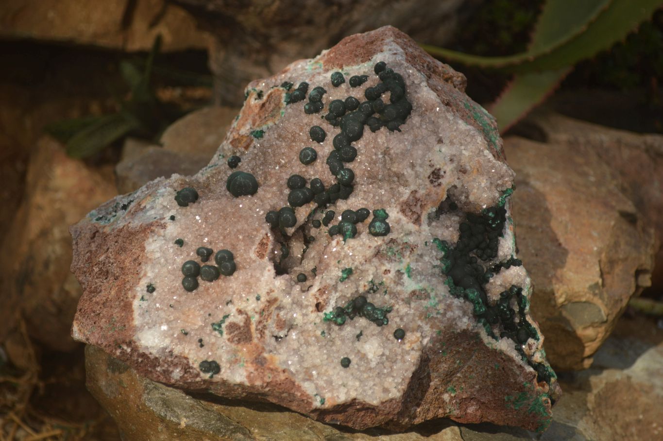 Natural Rare Ball Malachite On Drusy Quartz & Dolomite Matrix  x 1 From Kambove, Congo - Toprock Gemstones and Minerals 