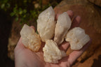 Natural Pineapple Quartz Crystals  x 35 From Madagascar - Toprock Gemstones and Minerals 