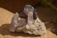 Natural Large Window Amethyst Crystal Specimens  x 6 From Chiredzi, Zimbabwe - Toprock Gemstones and Minerals 