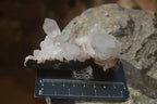 Natural Small Quartz Clusters  x 35 From Madagascar - Toprock Gemstones and Minerals 