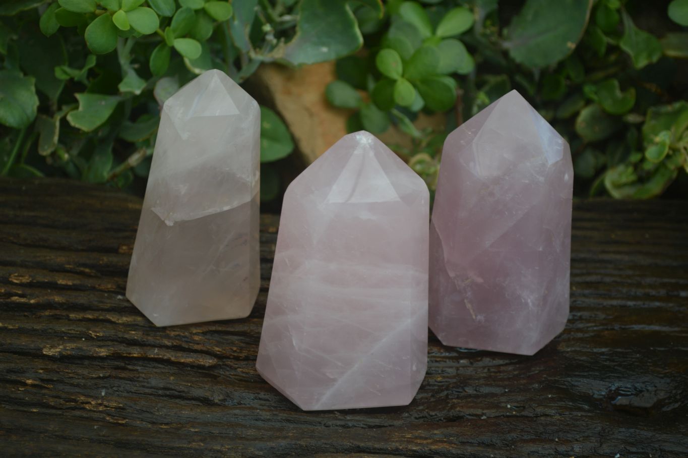 Polished Gemmy Pink Rose Quartz Points  x 3 From Madagascar - Toprock Gemstones and Minerals 