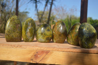 Polished  Green Opal Standing Free Forms  x 6 From Antsirabe, Madagascar - Toprock Gemstones and Minerals 