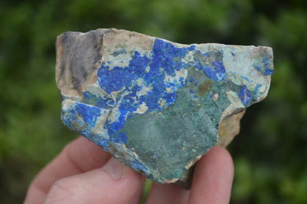 Natural Azurite & Malachite On Dolomite Specimens  x 12 From Southern Africa