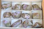 Natural Selected Stichtite & Green Serpentine (Atlantisite) Cobbed Specimens  x 12 From Barberton, South Africa - TopRock