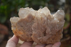 Natural Cascading Smokey Quartz Clusters x 2 From Luena, Congo - Toprock Gemstones and Minerals 