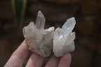 Natural Small Quartz Clusters  x 35 From Madagascar - Toprock Gemstones and Minerals 