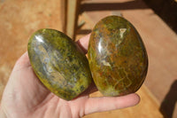 Polished  Green Opal Standing Free Forms  x 6 From Antsirabe, Madagascar - Toprock Gemstones and Minerals 
