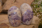 Polished  Dream Amethyst Standing Free Forms x 6 From Madagascar - Toprock Gemstones and Minerals 