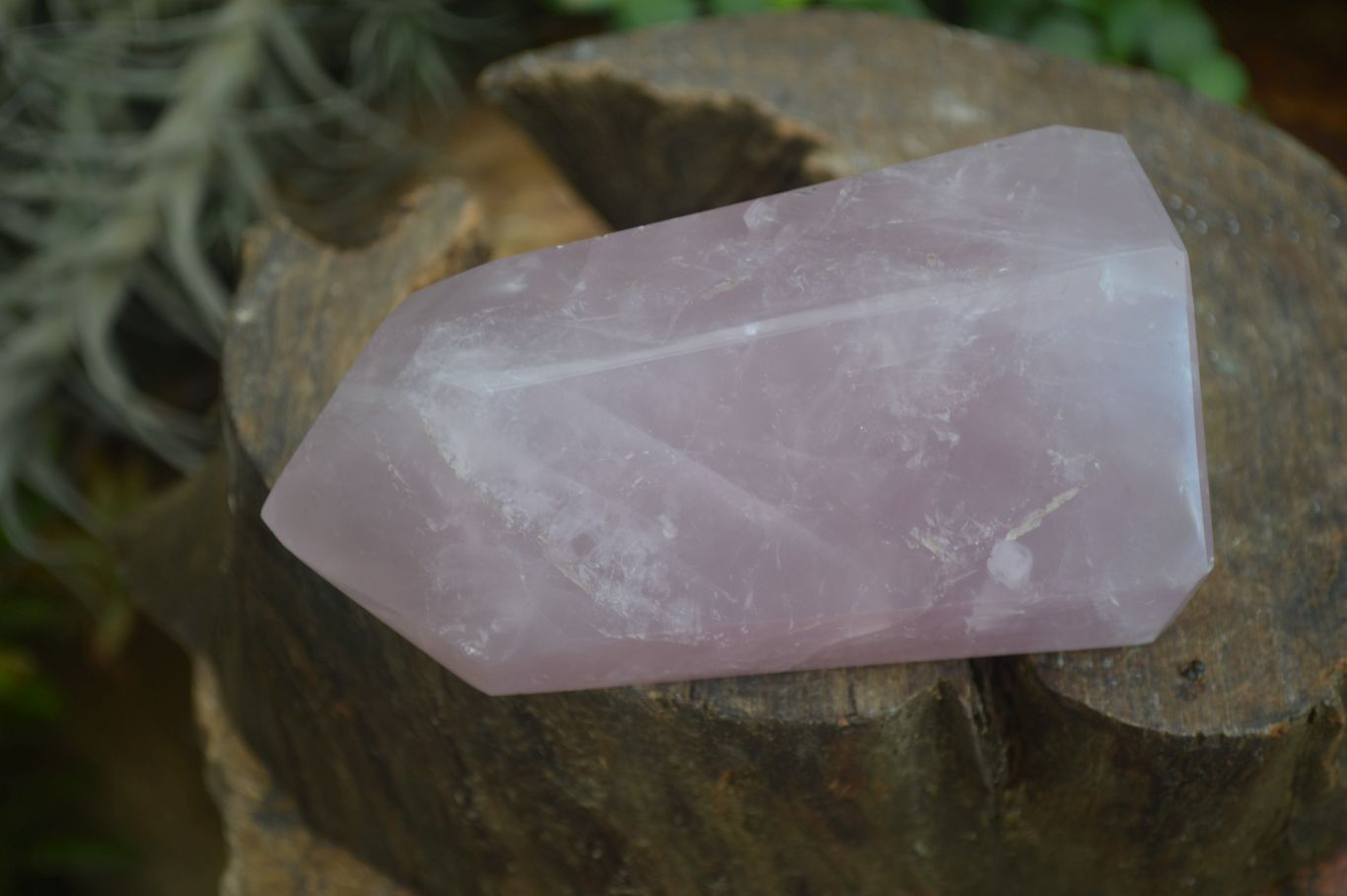 Polished Gemmy Pink Rose Quartz Points  x 3 From Madagascar - Toprock Gemstones and Minerals 