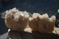 Natural Cascading Smokey Quartz Clusters x 2 From Luena, Congo - Toprock Gemstones and Minerals 