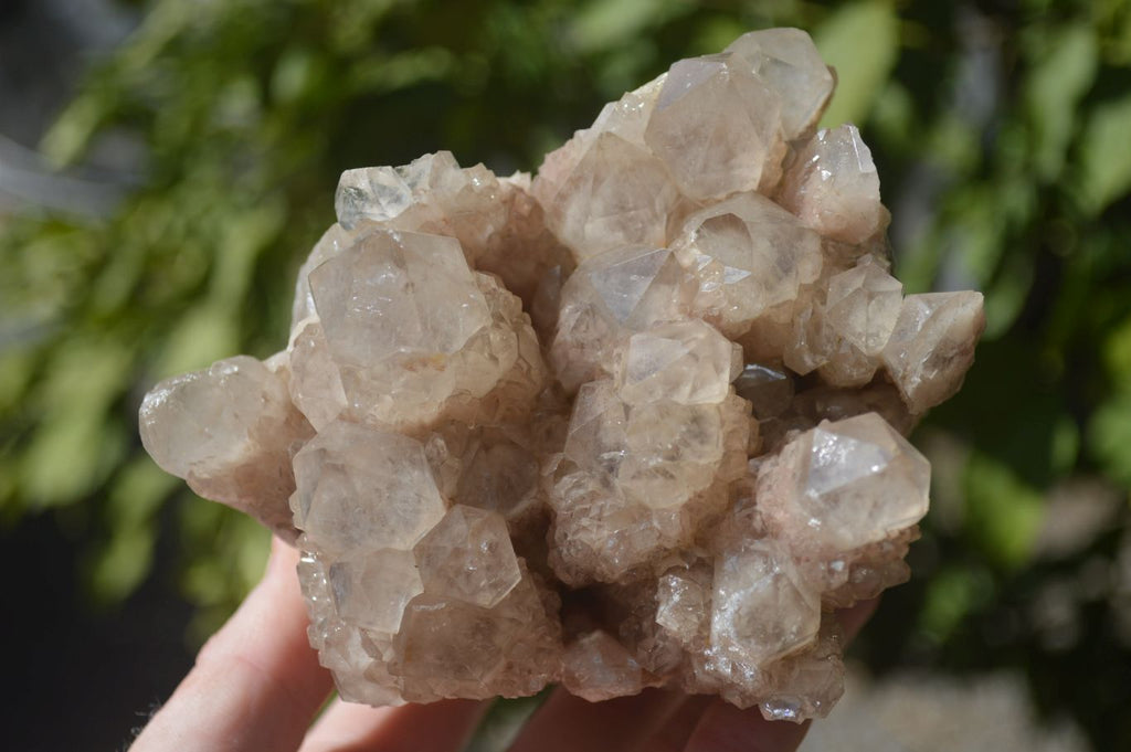Natural Cascading Smokey Quartz Clusters x 2 From Luena, Congo - Toprock Gemstones and Minerals 