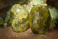 Polished  Green Opal Standing Free Forms  x 6 From Antsirabe, Madagascar - Toprock Gemstones and Minerals 