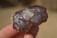 Natural Large Window Amethyst Crystal Specimens  x 6 From Chiredzi, Zimbabwe - Toprock Gemstones and Minerals 