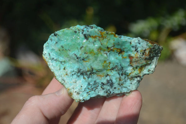 Natural Rough Blue Chrysocolla Specimens  x 24 From Southern Africa - Toprock Gemstones and Minerals 