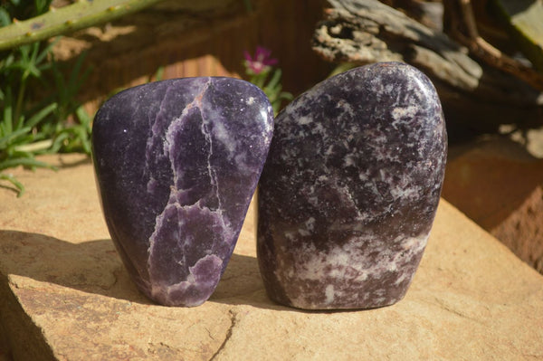 Polished Gem Lithium Mica Lepidolite Standing Free Forms  x 2 From Zimbabwe
