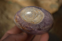 Polished  Dream Amethyst Standing Free Forms x 6 From Madagascar - Toprock Gemstones and Minerals 