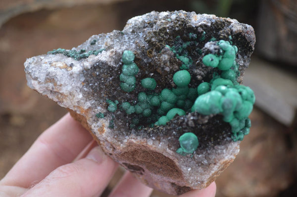 Natural Rare Ball Malachite On Drusi Quartz & Dolomite Matrix  x 2 From Kambove, Congo - Toprock Gemstones and Minerals 