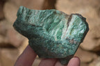 Natural Rough Jade Cobbed Specimens x 12 From Swaziland - Toprock Gemstones and Minerals 
