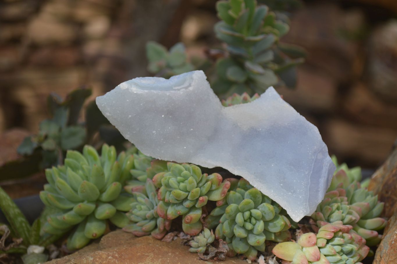 Natural Etched Blue Chalcedony Specimens  x 6 From Nsanje, Malawi - Toprock Gemstones and Minerals 