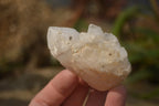 Natural Pineapple Quartz Crystals  x 35 From Madagascar - Toprock Gemstones and Minerals 