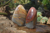 Polished Polychrome / Picasso Jasper Standing Free Forms  x 3 From Madagascar - Toprock Gemstones and Minerals 