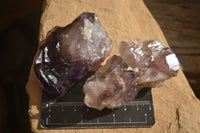 Natural Large Window Amethyst Crystal Specimens  x 6 From Chiredzi, Zimbabwe - Toprock Gemstones and Minerals 