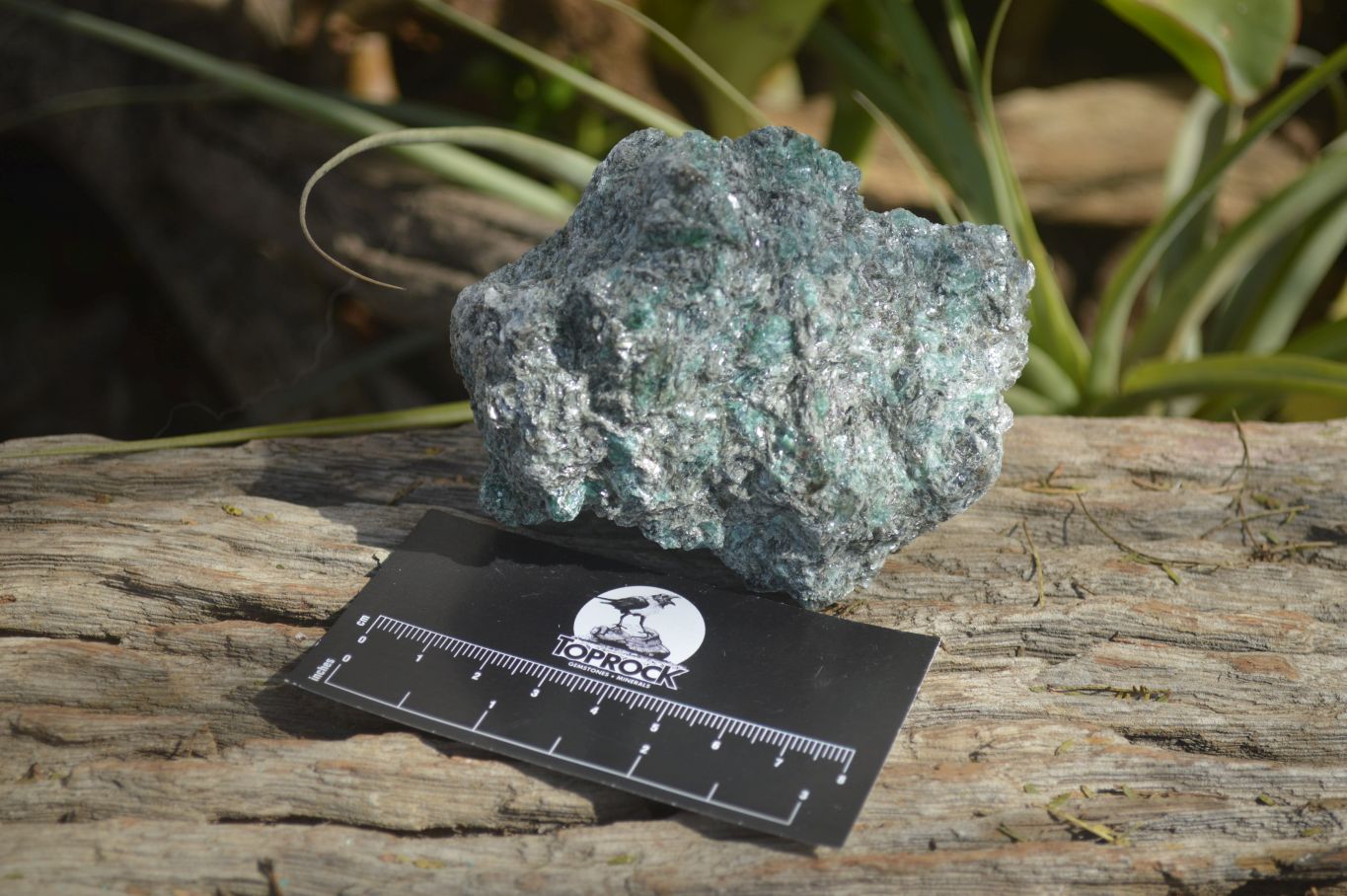 Natural Rare Emerald Mica In Matrix Cobbed Specimens x 6 From Mutoko, Zimbabwe - Toprock Gemstones and Minerals 