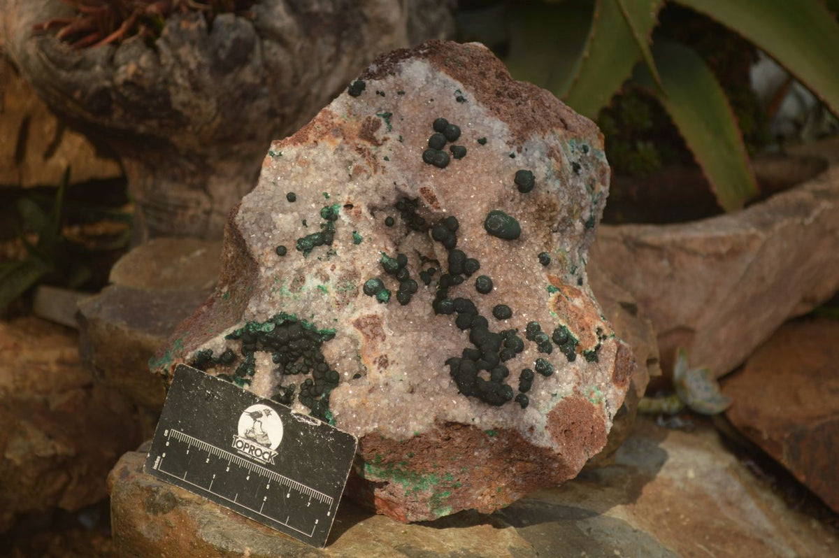 Natural Rare Ball Malachite On Drusy Quartz & Dolomite Matrix  x 1 From Kambove, Congo - Toprock Gemstones and Minerals 