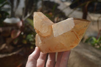Polished Double Terminated Smokey Quartz Crystals  x 2 From Southern Africa - Toprock Gemstones and Minerals 