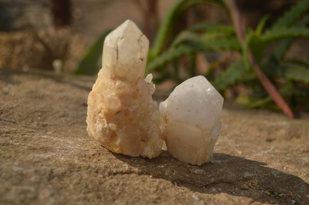 Natural Pineapple Quartz Crystals  x 35 From Madagascar - Toprock Gemstones and Minerals 