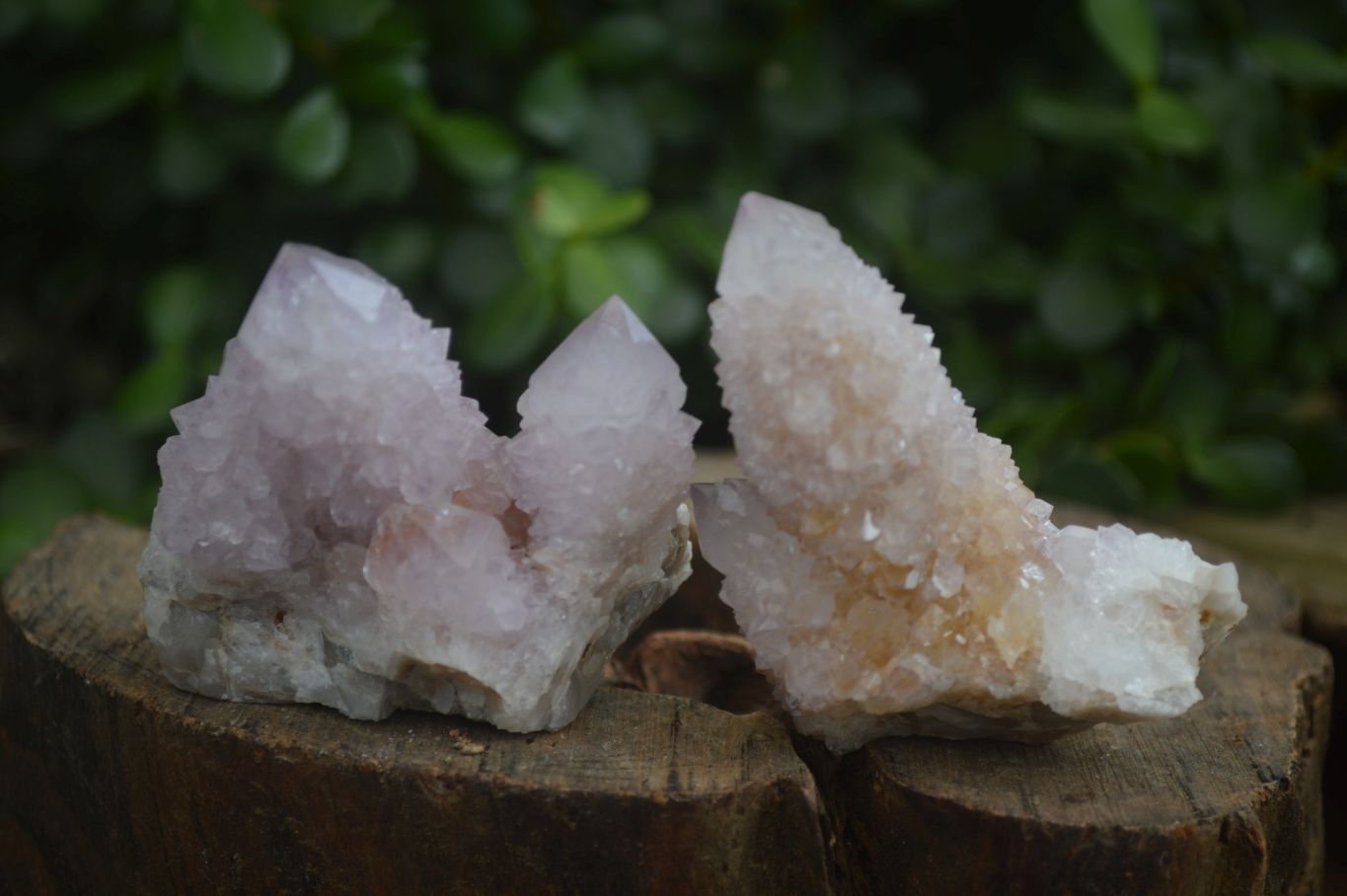 Natural Spirit Amethyst / Ametrine Quartz Clusters  x 12 From Boekenhouthoek, South Africa - Toprock Gemstones and Minerals 