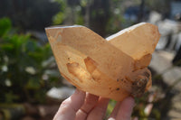 Polished Double Terminated Smokey Quartz Crystals  x 2 From Southern Africa - Toprock Gemstones and Minerals 