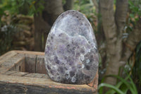 Polished Extra Large Flower Chevron Amethyst Display Piece x 1 From Madagascar - Toprock Gemstones and Minerals 