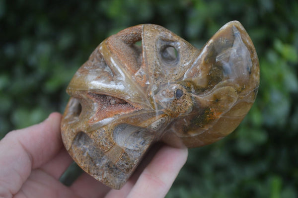 Polished Unique Fossil Matrix Sculptures  x 2 From Madagascar