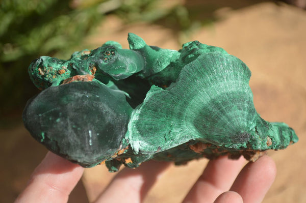 Natural Chatoyant Silky Malachite Specimens  x 4 From Kasompe, Congo - Toprock Gemstones and Minerals 