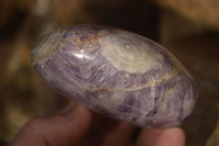 Polished  Dream Amethyst Standing Free Forms x 6 From Madagascar - Toprock Gemstones and Minerals 