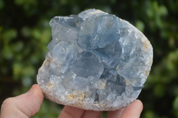 Natural Blue Celestite Crystal Specimens  x 2 From Madagascar - Toprock Gemstones and Minerals 