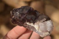 Natural Large Window Amethyst Crystal Specimens  x 6 From Chiredzi, Zimbabwe - Toprock Gemstones and Minerals 