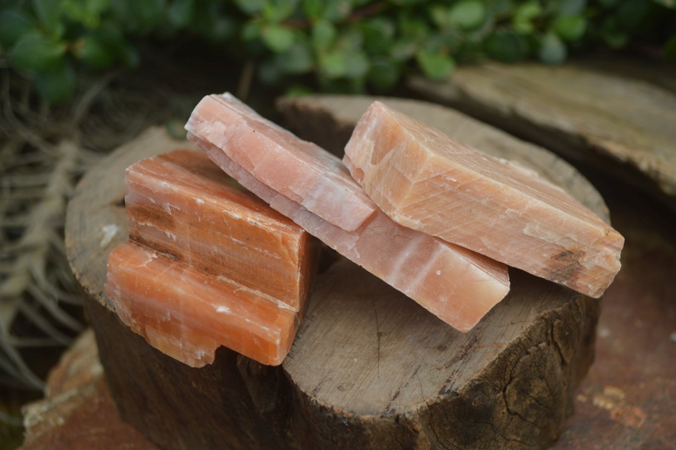 Natural New Sunset Orange Calcite Specimens  x 12 From Spitzkop, Namibia - Toprock Gemstones and Minerals 