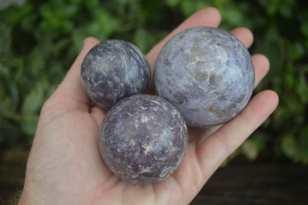 Polished Purple Lepidolite Spheres  x 6 From Madagascar - Toprock Gemstones and Minerals 