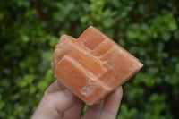 Natural New Sunset Orange Calcite Specimens  x 12 From Spitzkop, Namibia - Toprock Gemstones and Minerals 