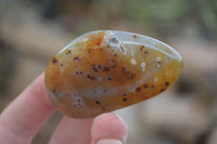 Polished Agate Chalcedony Tumble Stones x 20 From Madagascar - Toprock Gemstones and Minerals 