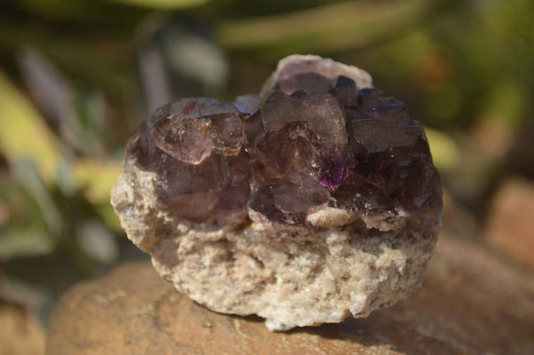 Natural Large Window Amethyst Crystal Specimens  x 6 From Chiredzi, Zimbabwe - Toprock Gemstones and Minerals 