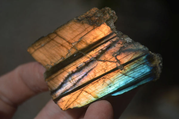 Polished One Side Polished Labradorite Slices  x 24 From Tulear, Madagascar - Toprock Gemstones and Minerals 