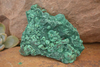 Natural Chatoyant Silky Malachite Specimens  x 4 From Kasompe, Congo - Toprock Gemstones and Minerals 